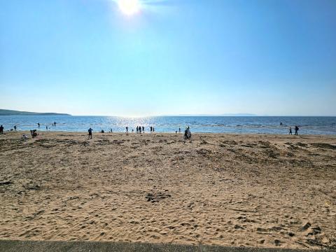 Ayr