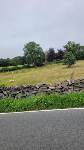 Yorkshire Dales
