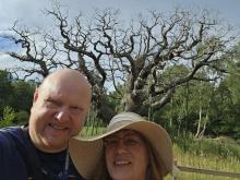 Major Oak