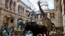 Kelvingrove Art Gallery and Museum