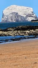 North Berwick