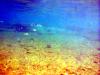 Griechenland - Portes Beach - Schnorcheln