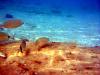 Griechenland - Portes Beach - Schnorcheln