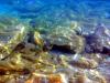 Griechenland - Portes Beach - Schnorcheln