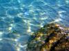 Griechenland - Portes Beach - Schnorcheln