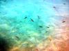 Griechenland - Portes Beach - Schnorcheln