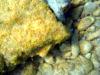 Griechenland - Portes Beach - Schnorcheln