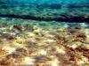 Griechenland - Portes Beach - Schnorcheln
