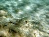 Griechenland - Portes Beach - Schnorcheln