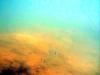 Griechenland - Portes Beach - Schnorcheln