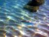 Griechenland - Portes Beach - Schnorcheln