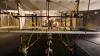 Niederlande - Nationales Luftfahrtmuseum - Wright Flyer (2026)0
