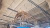 Natural History Museum London