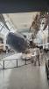 Natural History Museum London