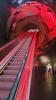 Natural History Museum London
