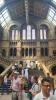 Natural History Museum London_23