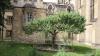 Cambridge