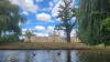 Cambridge