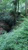 England - Stagshaw Gardens