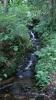 England - Stagshaw Gardens