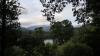 England - Stagshaw Gardens