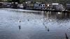 Schottland - Tarbert