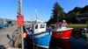 Schottland - Islay
