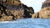 Schottland - Scotish Seabird Centre boat trip