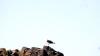 Schottland - Scotish Seabird Centre boat trip