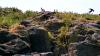 Schottland - Scotish Seabird Centre boat trip