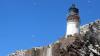 Schottland - Scotish Seabird Centre boat trip