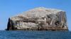 Schottland - Scotish Seabird Centre boat trip