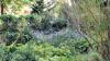 Freiburg - Botanischer Garten