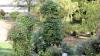Freiburg - Botanischer Garten