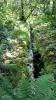 Achamore Gardens