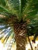 Griechenland - Hotel Portes Beach